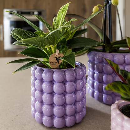 Cache-pot céramique - rondeurs colorées et gaies - violet