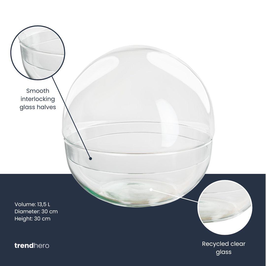 Terrarium sphère en verre : Ø 28 cm, 13,5 L