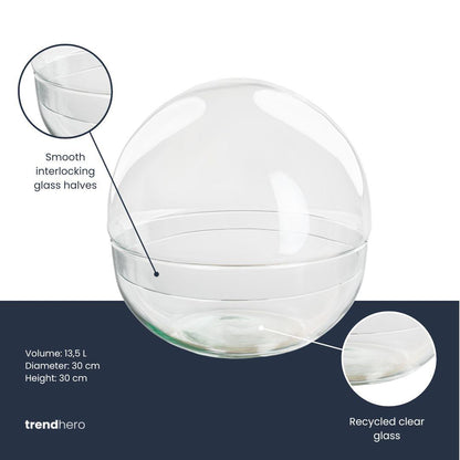 Terrarium sphère en verre : Ø 28 cm, 13,5 L