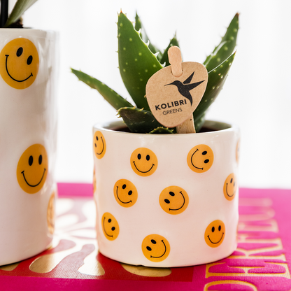 Cache-pot céramique Smiley - la touche fun de votre déco