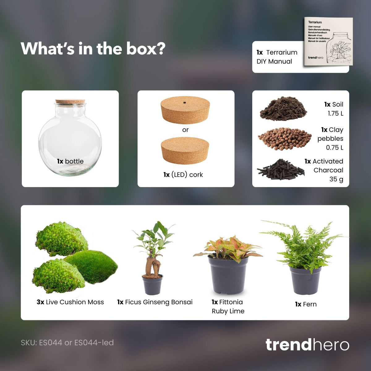 Grand kit terrarium bonsaï : Sans outils, avec bouchon LED