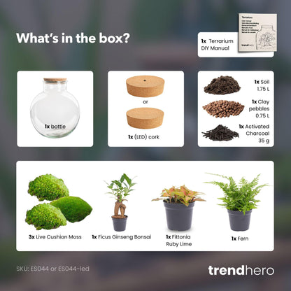 Grand kit terrarium bonsaï : Sans outils, avec bouchon LED