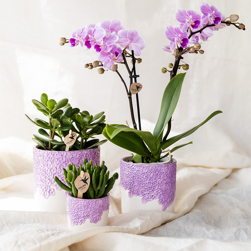 Cache-pot céramique en relief floral - courbes douces et coloris tendres - lilas
