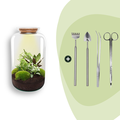 Kit terrarium lumineux haute bouteille : Avec râteau, pelle, pince et ciseaux
