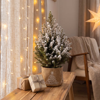 Épicéa 'Conica' enneigé en sac en jute, décor de Noël