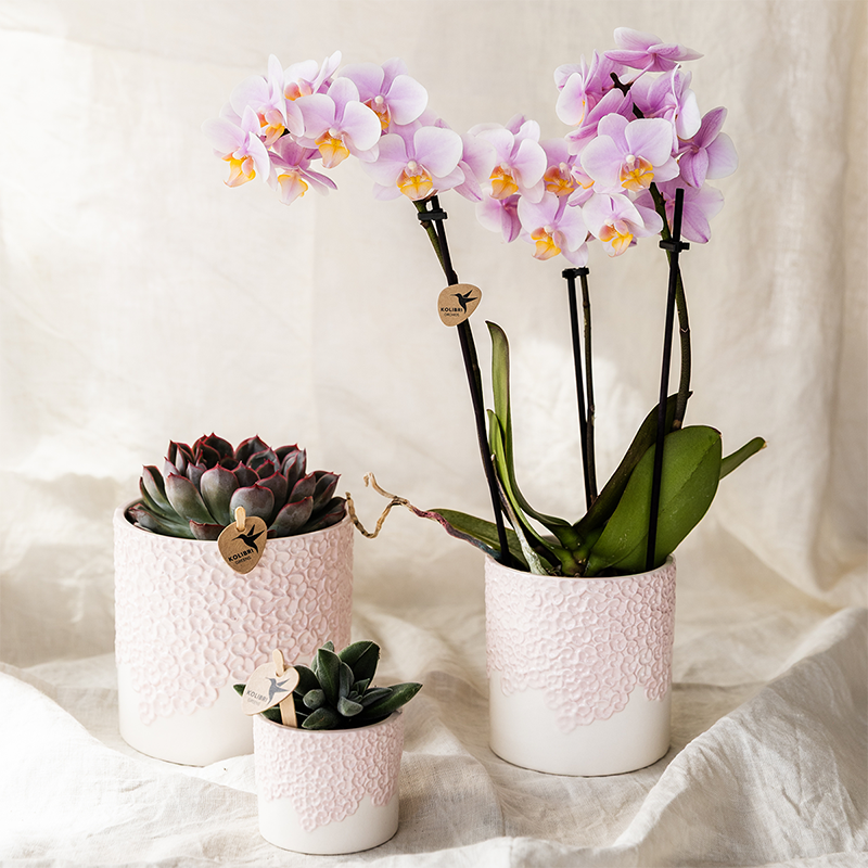 Lot de 3 cache-pots céramique en relief floral - rose (6, 9 et 12 cm)