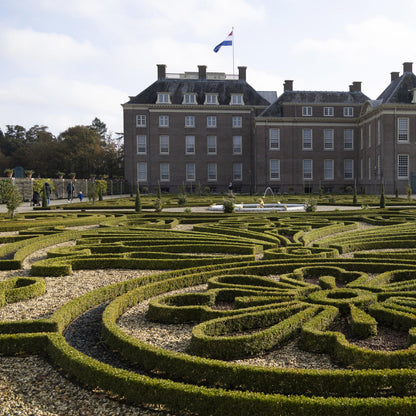 Buxus Haie BetterBuxus Babylon Beauty formant un parterre paysager dans le jardin d'un château néerlandais sous un ciel bleu.