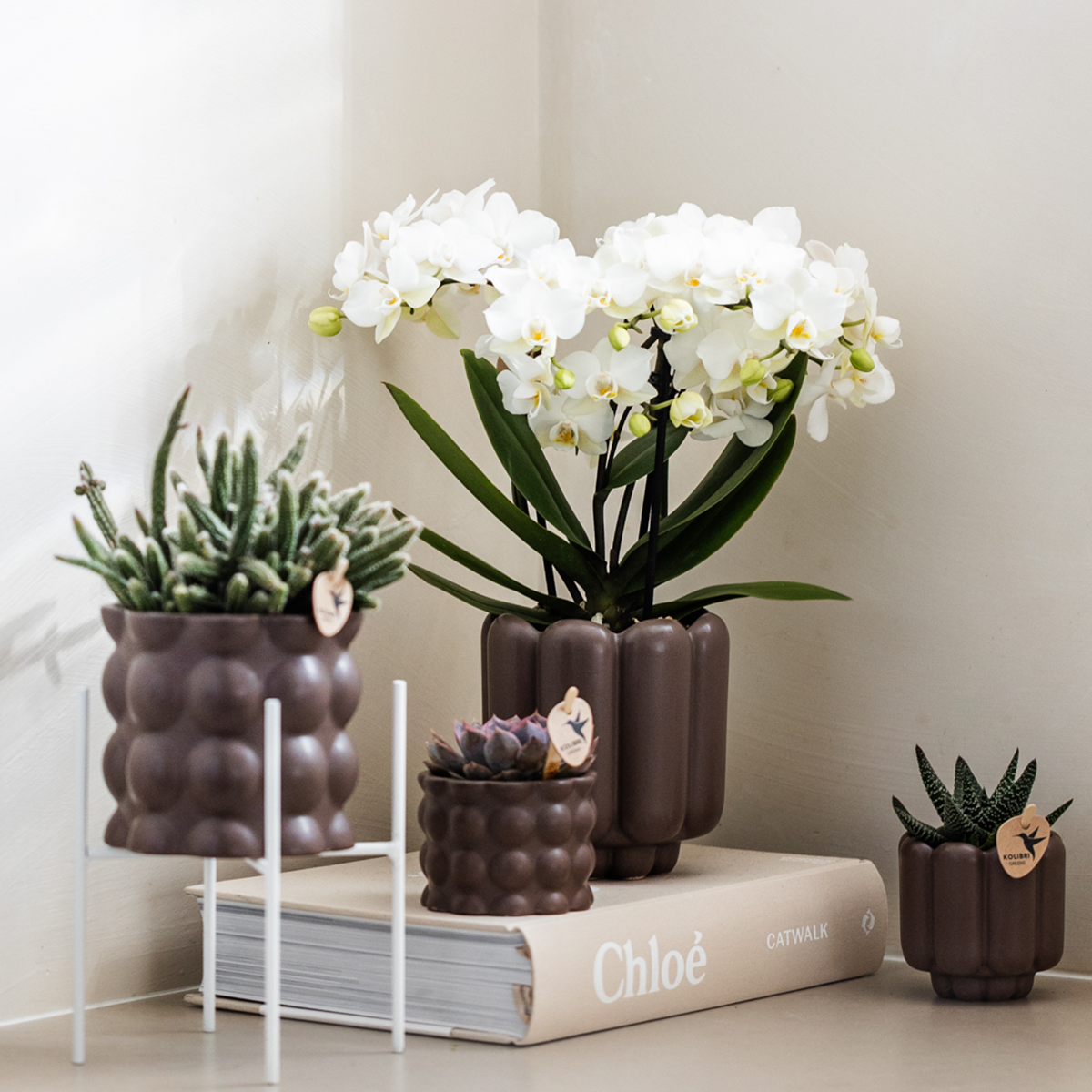Cache-pot céramique mat - allure vintage - brun