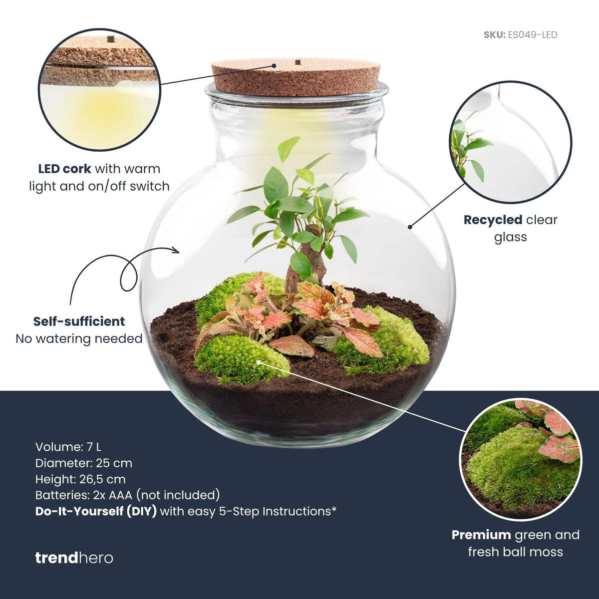 Kit terrarium boule bonsaï : Sans outils, avec bouchon LED