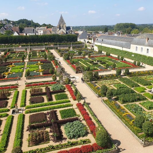 Buxus BetterBuxus Babylon Beauty. Vue aérienne d'un grand jardin luxuriant de château, avec buissons, haies et parterres de fleurs colorées.