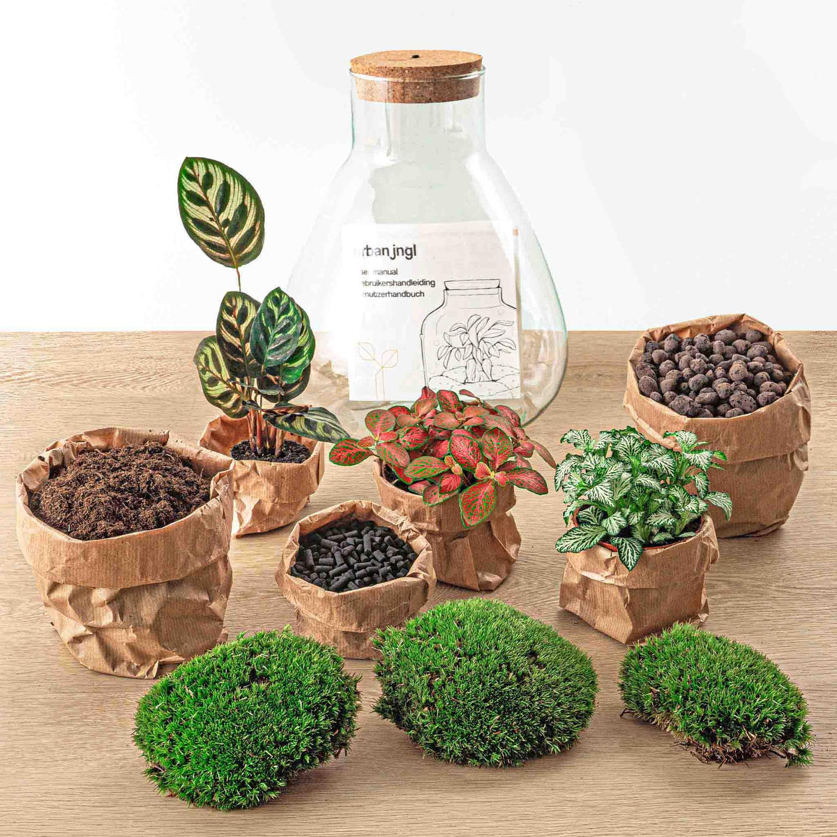 Kit terrarium lumineux Calathea : Avec râteau et pelle