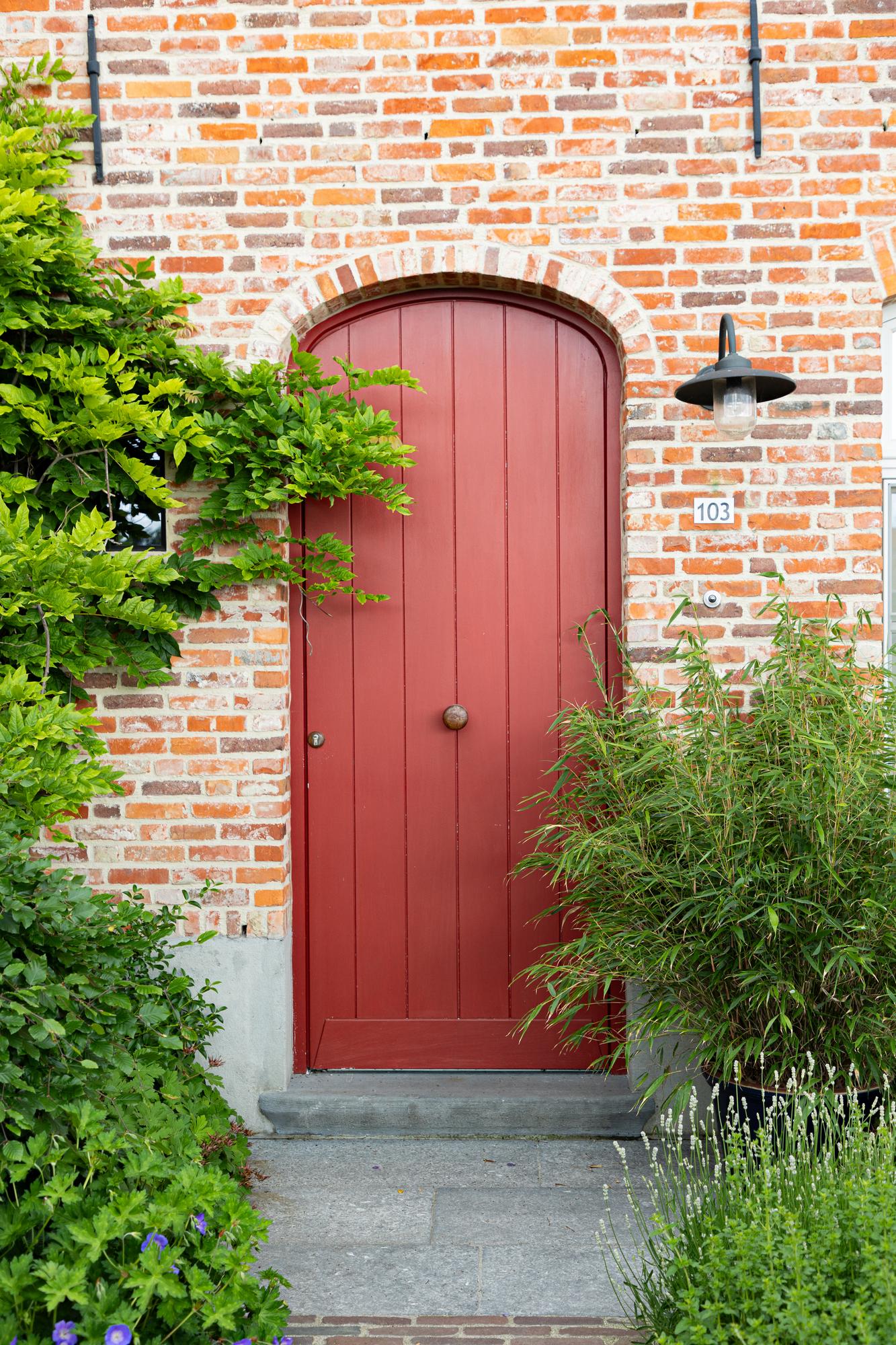 Fargesia Rufa, bambou non invasif, en pot à l'entrée d'une maison en briques, à côté d'une porte rouge.