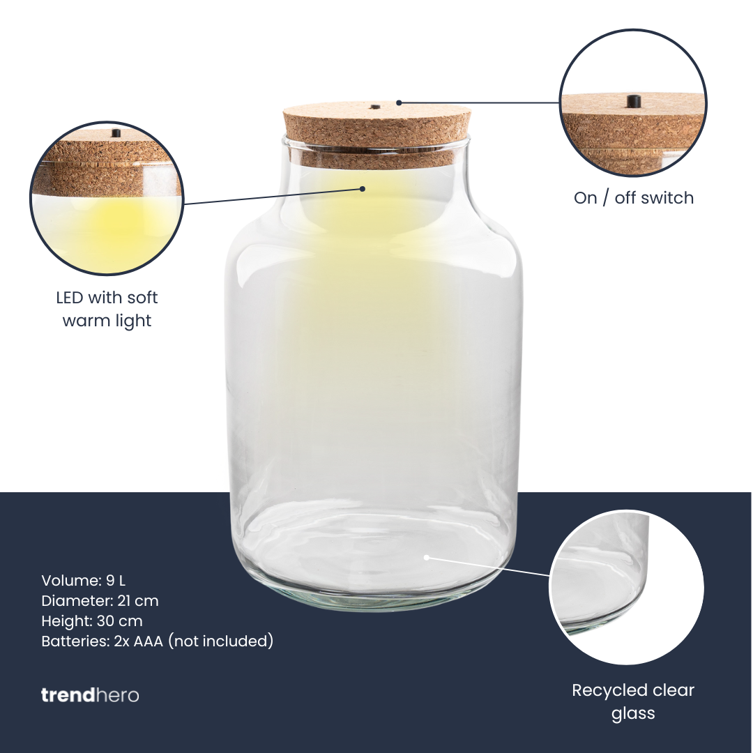 Bouteille terrarium à lait LED : Ø 21 cm, hauteur 30 cm, 9 L, fiche technique