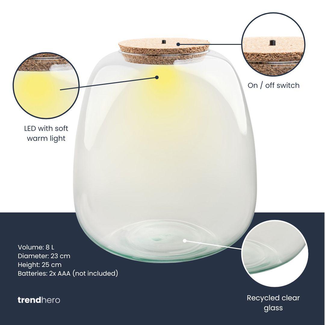 Bouteille terrarium en verre recyclé 8 L avec bouchon LED, Ø 23 cm hauteur 25 cm