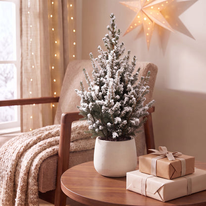 Épicéa de l'Alberta Picea glauca 'Conica' enneigé en pot, sapin de Noël vivant à neige artificielle