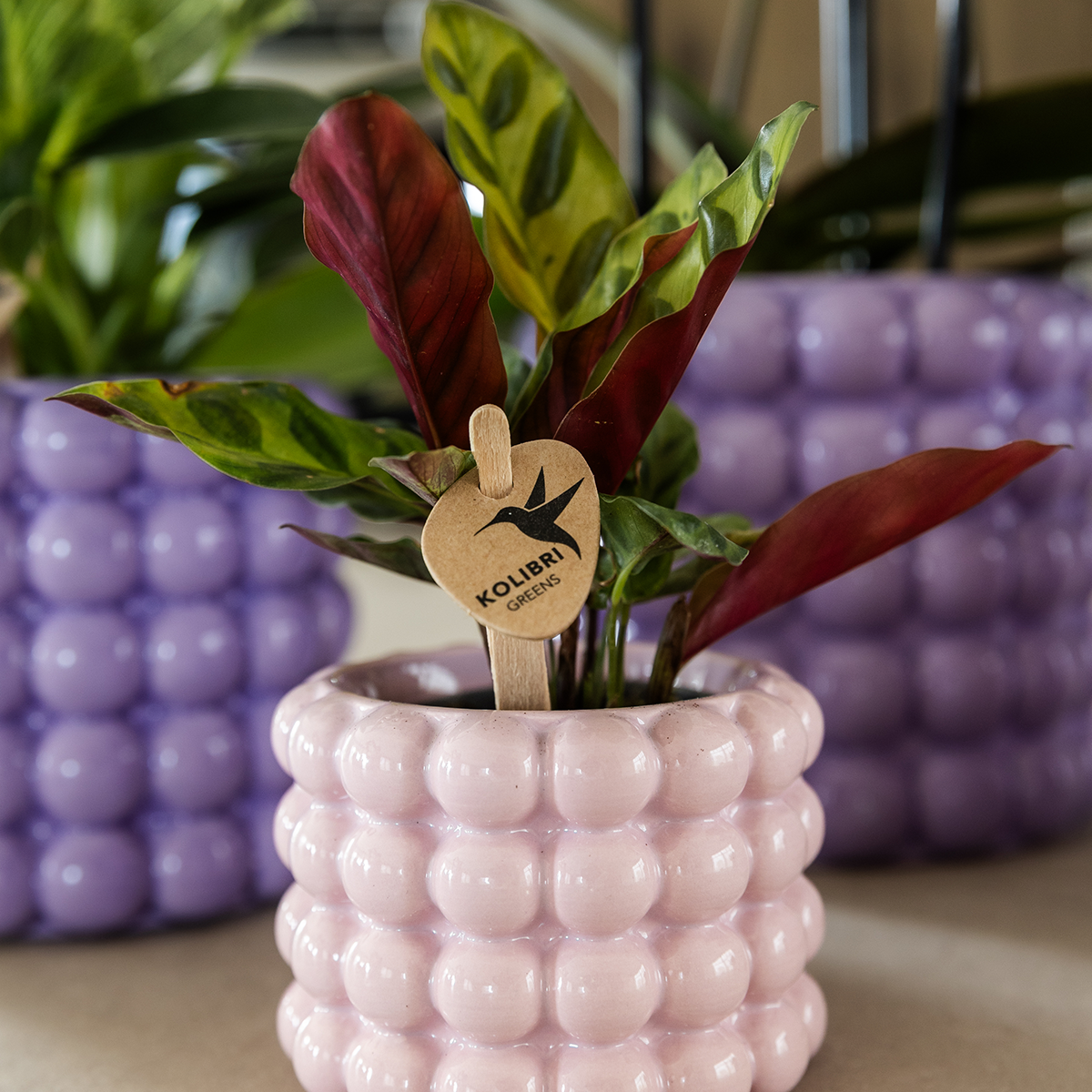 Cache-pot céramique - rondeurs colorées et gaies - rose