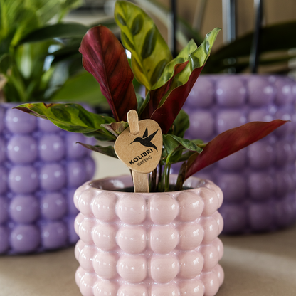 Cache-pot céramique - rondeurs colorées et gaies - rose