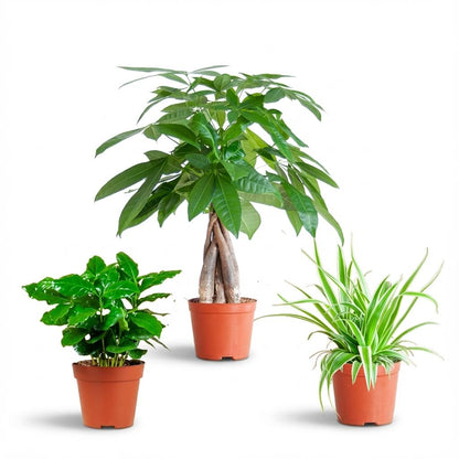 Jardinière respectueuse des animaux - petite - sans pot décoratif - Ø12