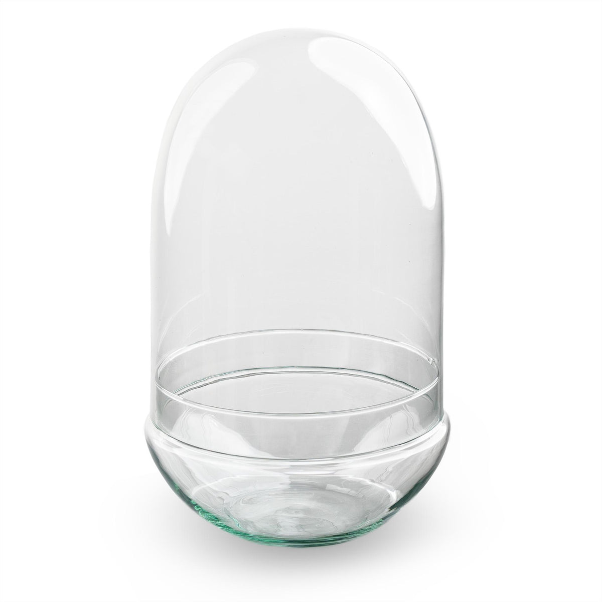 Terrarium en forme d'œuf en verre recyclé avec cloche en verre, bocal fermé à planter, 2 tailles