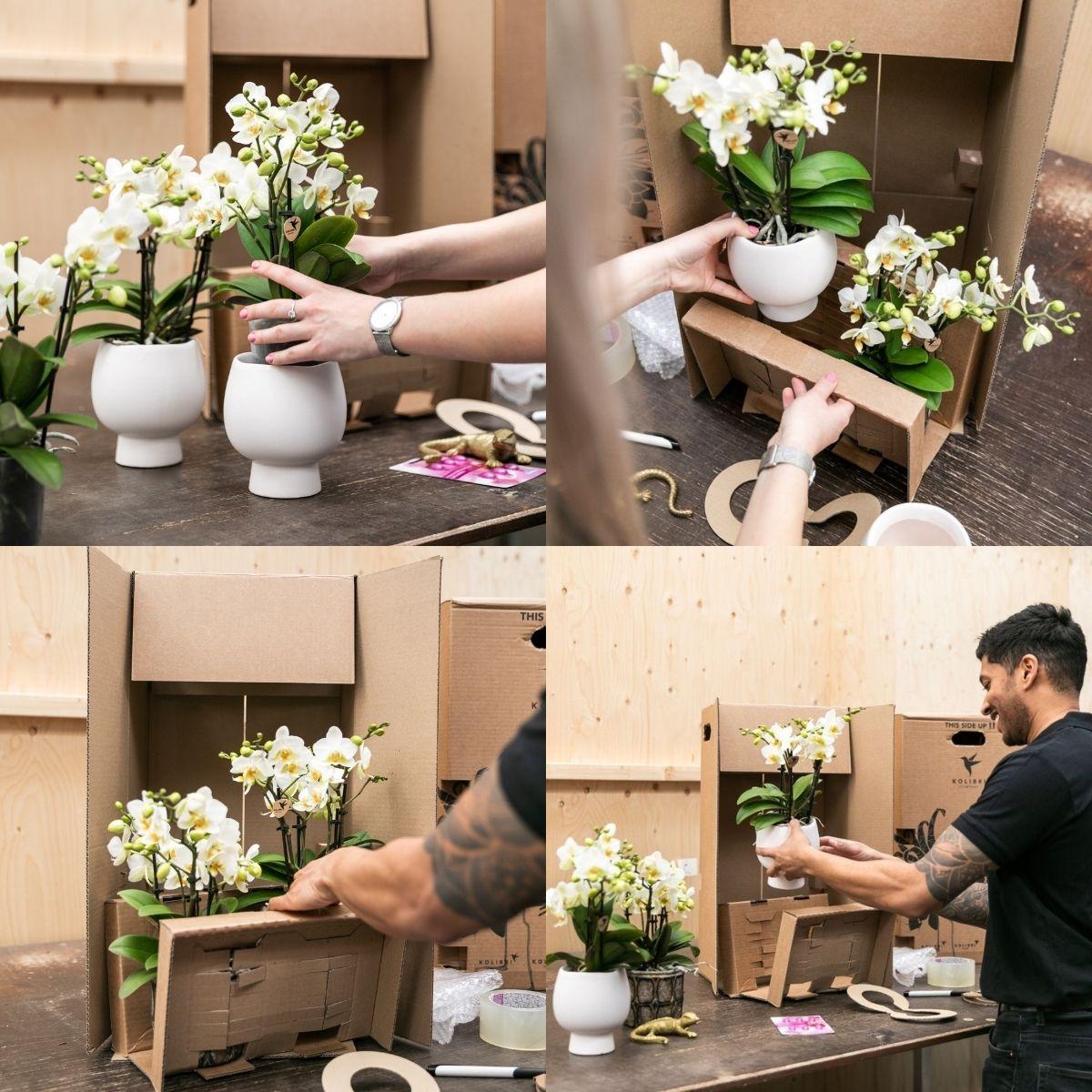 Cache-pot céramique brillant Luxury - reflets précieux dorés ou argentés