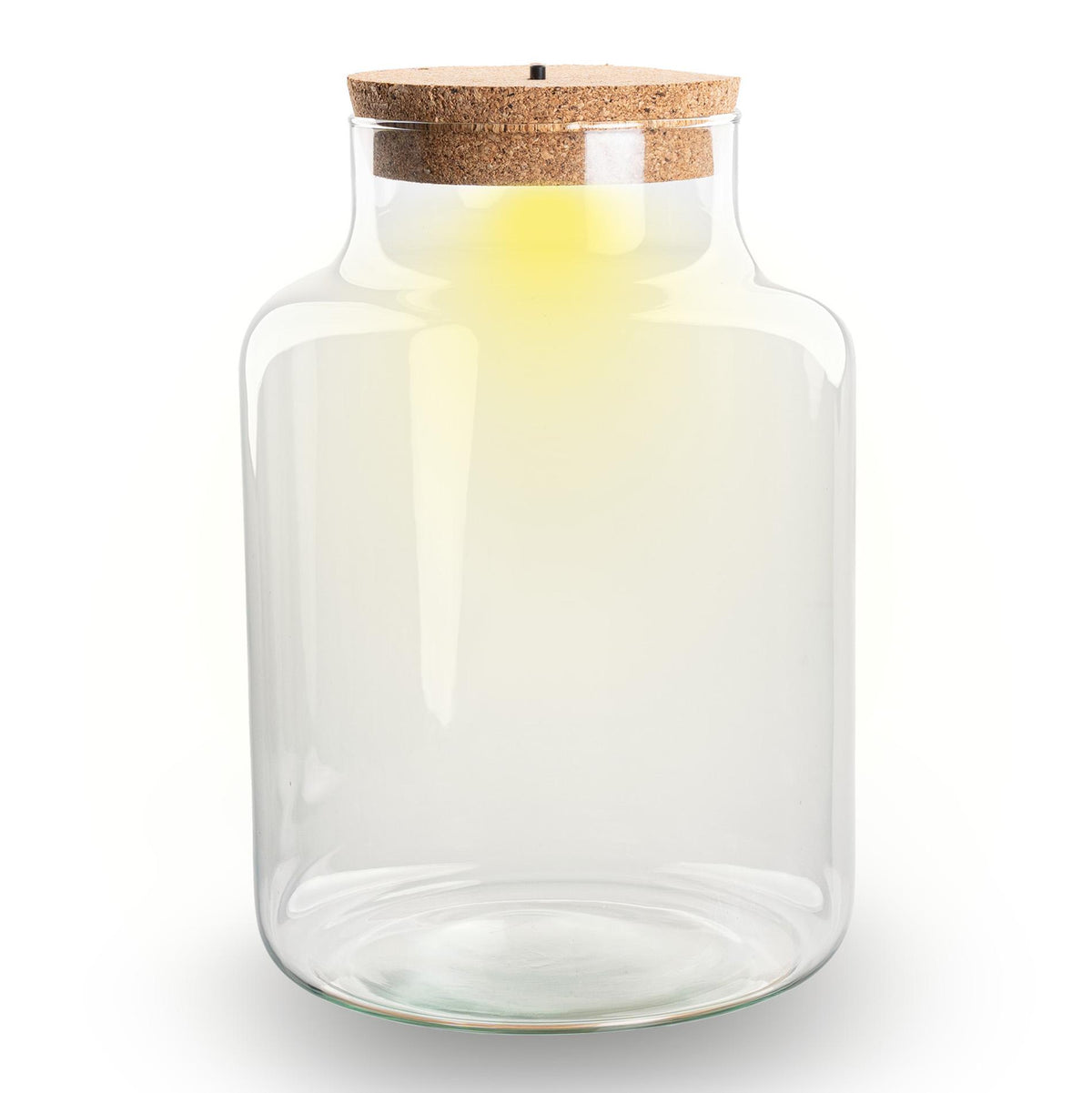 Bouteille terrarium en verre recyclé forme bouteille de lait avec bouchon LED, 2 tailles