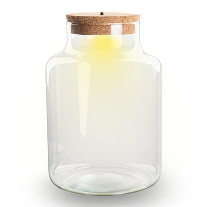 Bouteille terrarium en verre recyclé forme bouteille de lait avec bouchon LED, 2 tailles