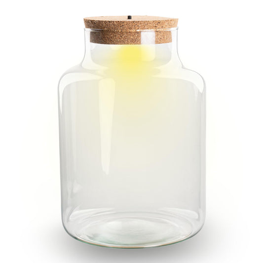 Bouteille terrarium en verre recyclé forme bouteille de lait avec bouchon LED, 2 tailles