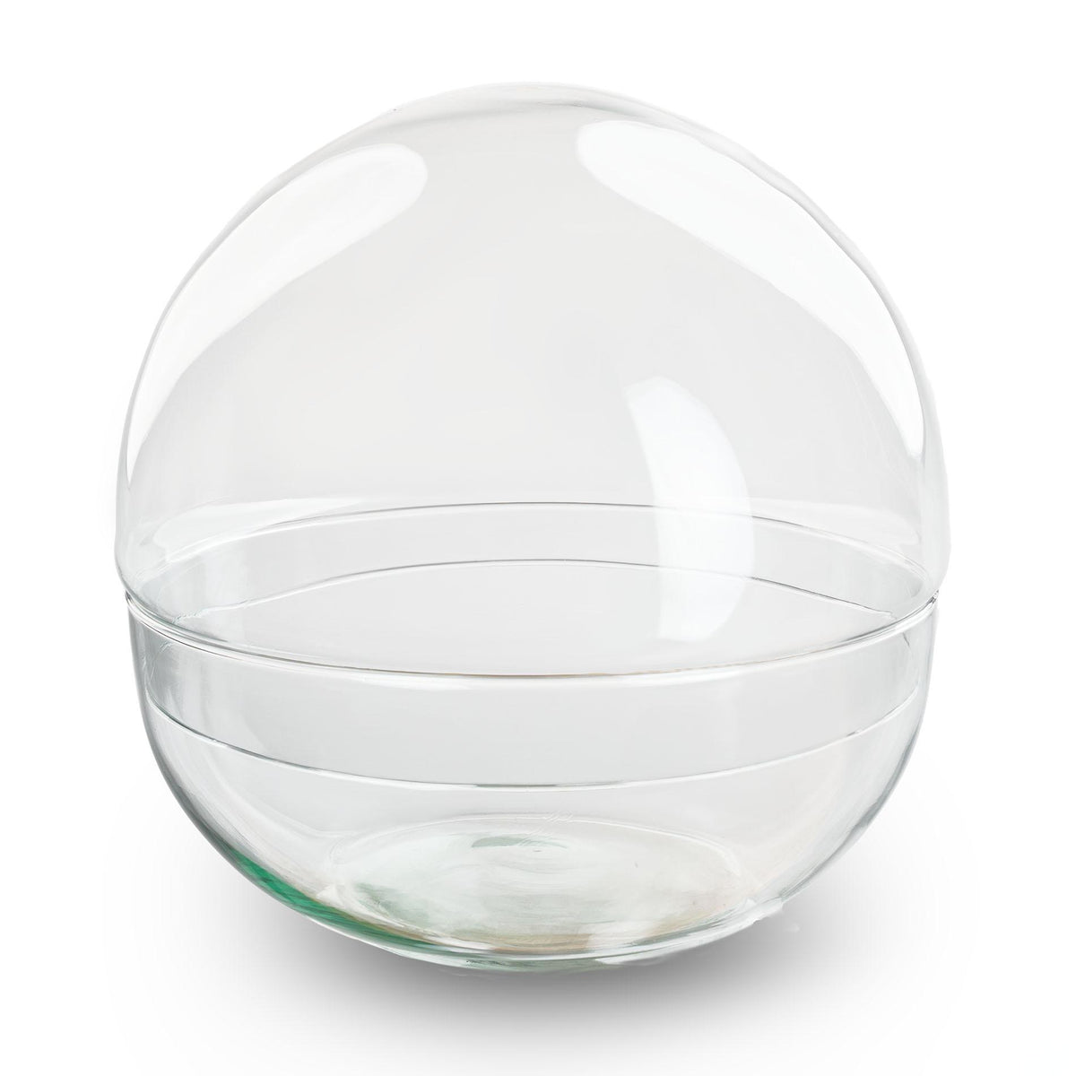 Terrarium sphère en verre : Ø 28 cm, 13,5 L