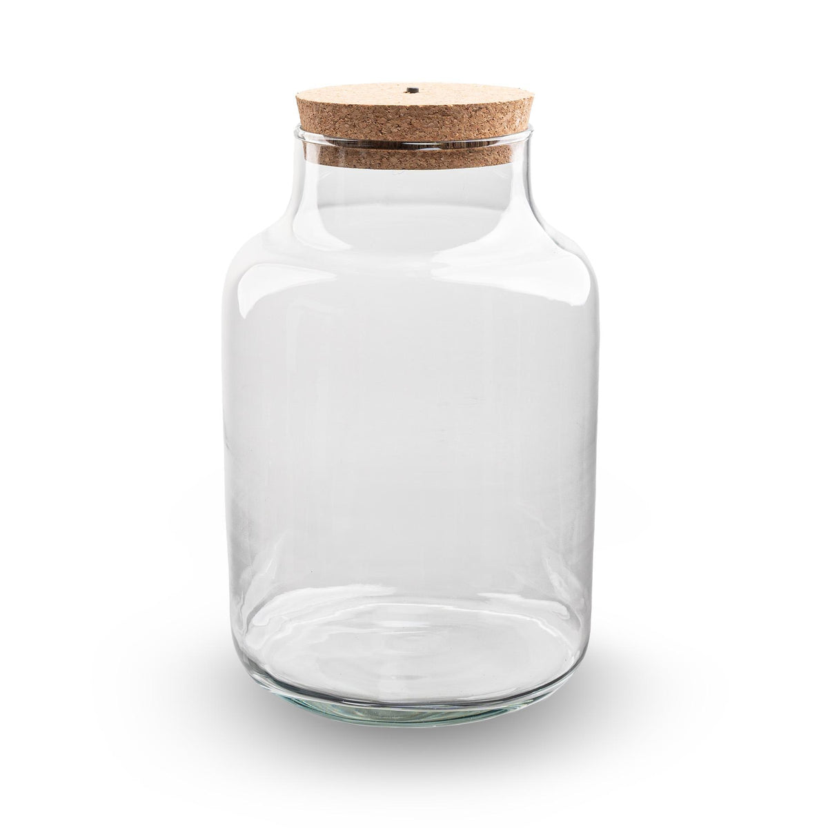 Bouteille terrarium à lait LED : Ø 21 cm, hauteur 30 cm, 9 L