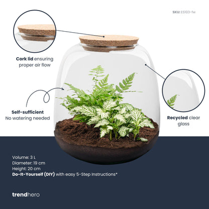 Kit terrarium fermé Fittonia et fougère, petit bocal en verre à bouchon liège Ø 19 cm hauteur 20 cm