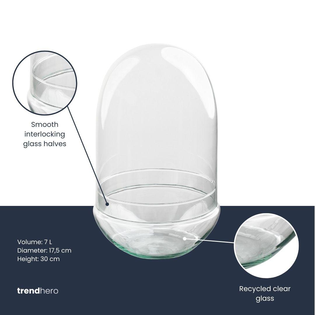 Terrarium en forme d'œuf en verre recyclé avec cloche en verre, bocal fermé à planter, 2 tailles