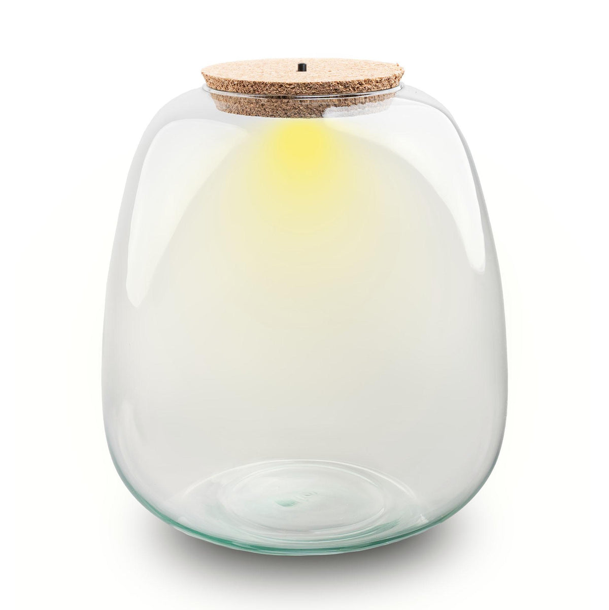 Bouteille terrarium en verre recyclé 8 L avec bouchon LED, Ø 23 cm hauteur 25 cm