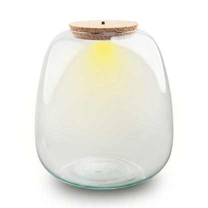 Bouteille terrarium en verre recyclé 8 L avec bouchon LED, Ø 23 cm hauteur 25 cm