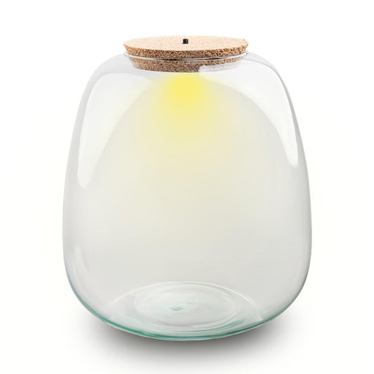 Bouteille terrarium en verre recyclé 8 L avec bouchon LED, Ø 23 cm hauteur 25 cm