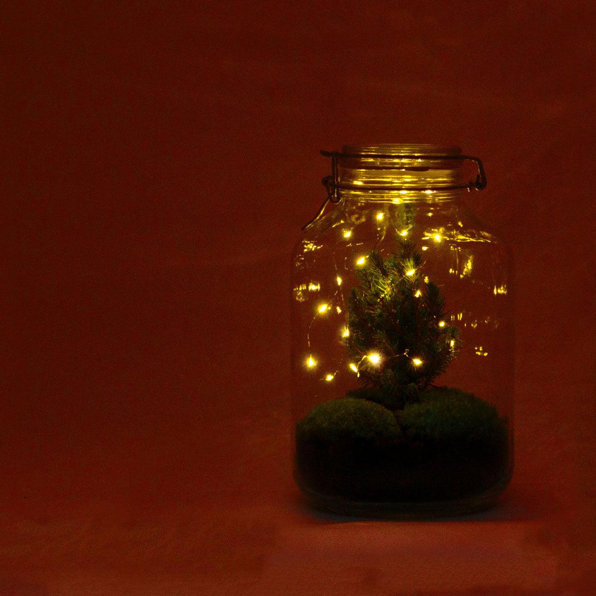 Kit terrarium de Noël avec mini sapin, jarre en verre Ø 18 cm hauteur 28 cm