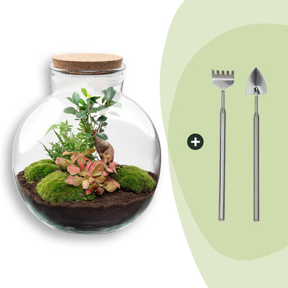 Grand kit terrarium bonsaï : Avec râteau et pelle