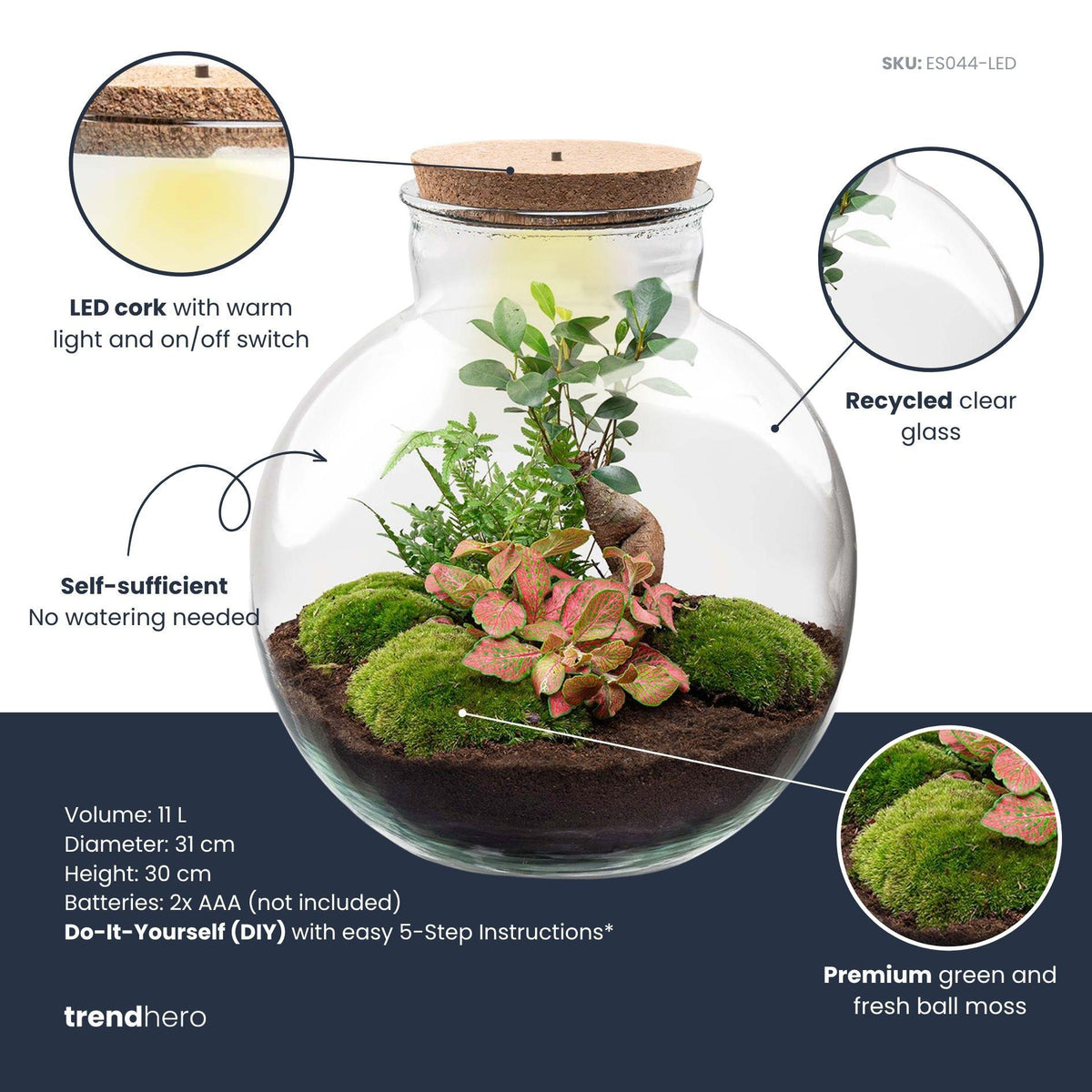 Grand kit terrarium bonsaï : Sans outils, avec bouchon LED