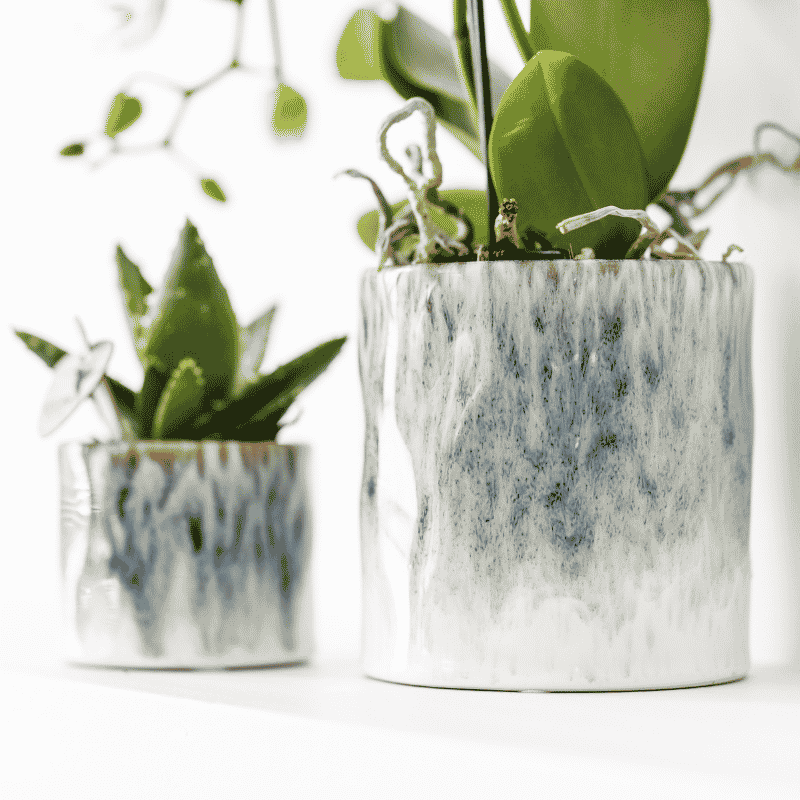 Orchidée Phalaenopsis en boîte cadeau kraft avec cache-pot céramique