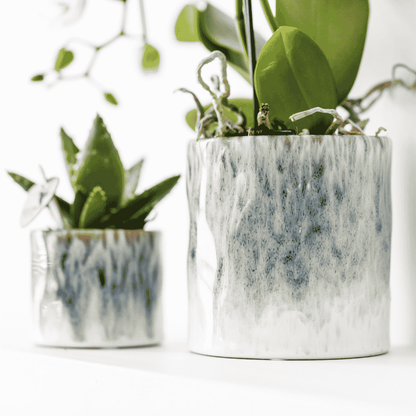 Orchidée Phalaenopsis en boîte cadeau kraft avec cache-pot céramique
