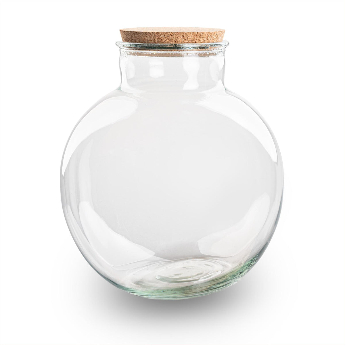 Grande bouteille terrarium 11 L : Bouchon liège