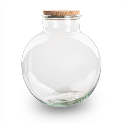 Grande bouteille terrarium 11 L : Bouchon liège
