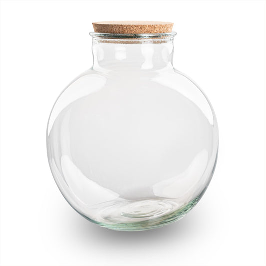 Grande bouteille terrarium 11 L : Bouchon liège
