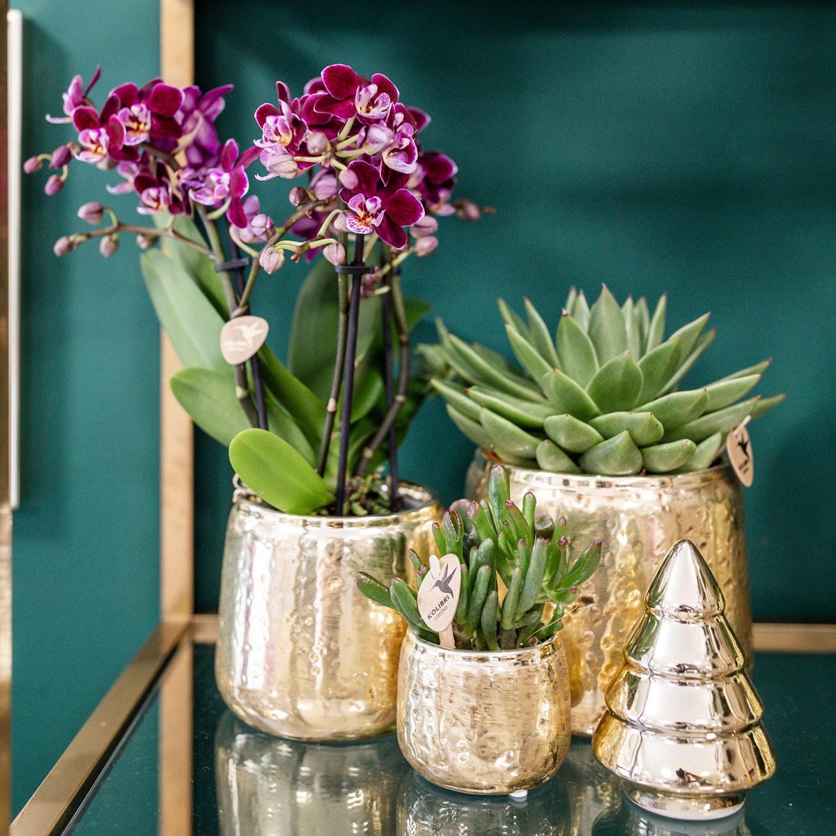 Cache-pot céramique brillant Luxury - reflets précieux dorés ou argentés