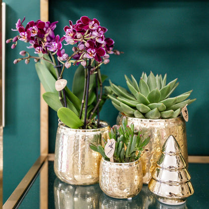 Cache-pot céramique brillant Luxury - reflets précieux dorés ou argentés