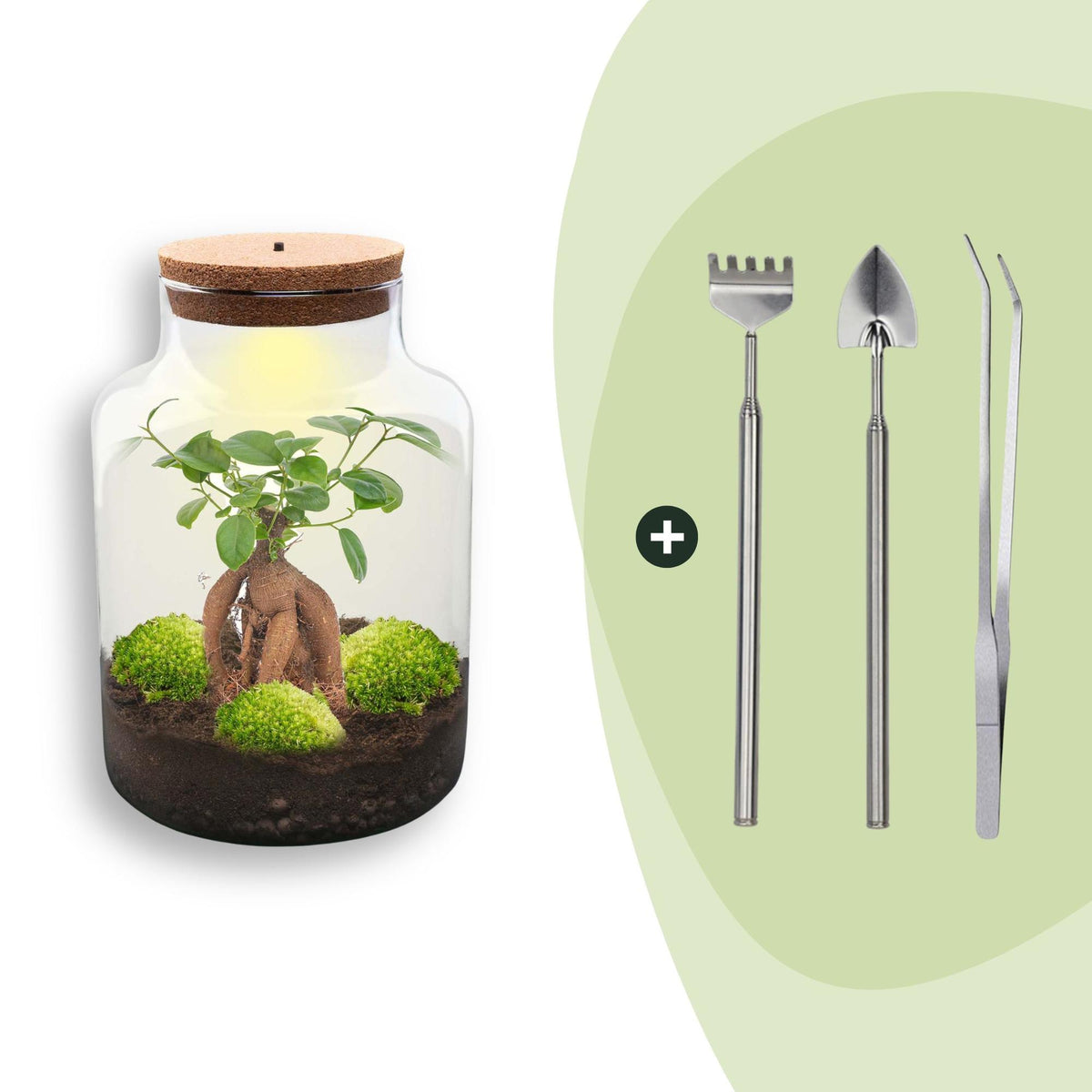 Kit terrarium lumineux en bouteille à lait : Avec râteau, pelle et pince