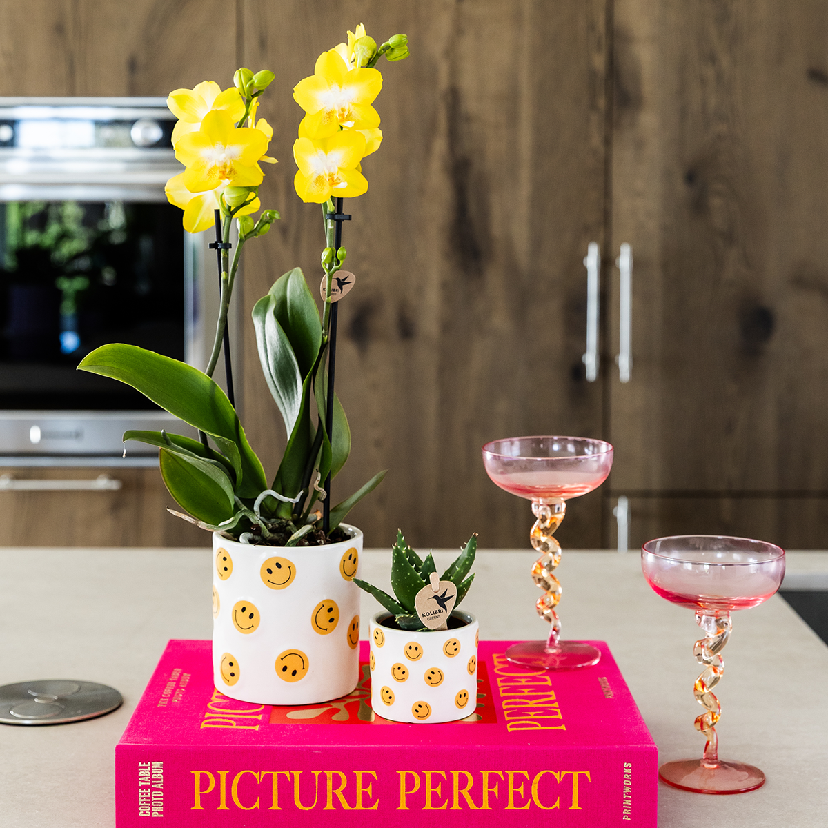 Orchidée Phalaenopsis jaune en pot