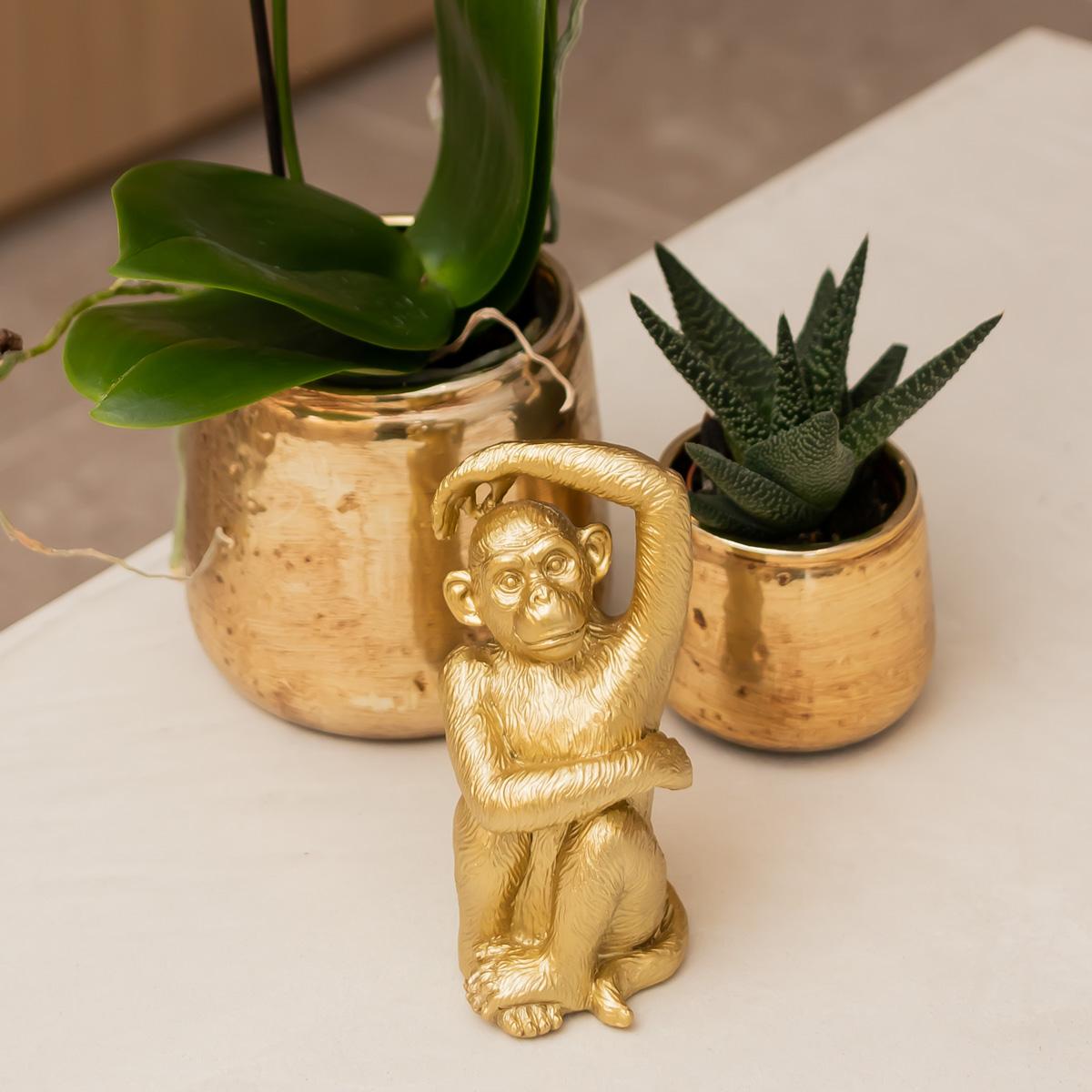 Orchidée Phalaenopsis 'Amabilis' blanche + cache-pot doré chic - Pot 9 cm - Hauteur 40 cm