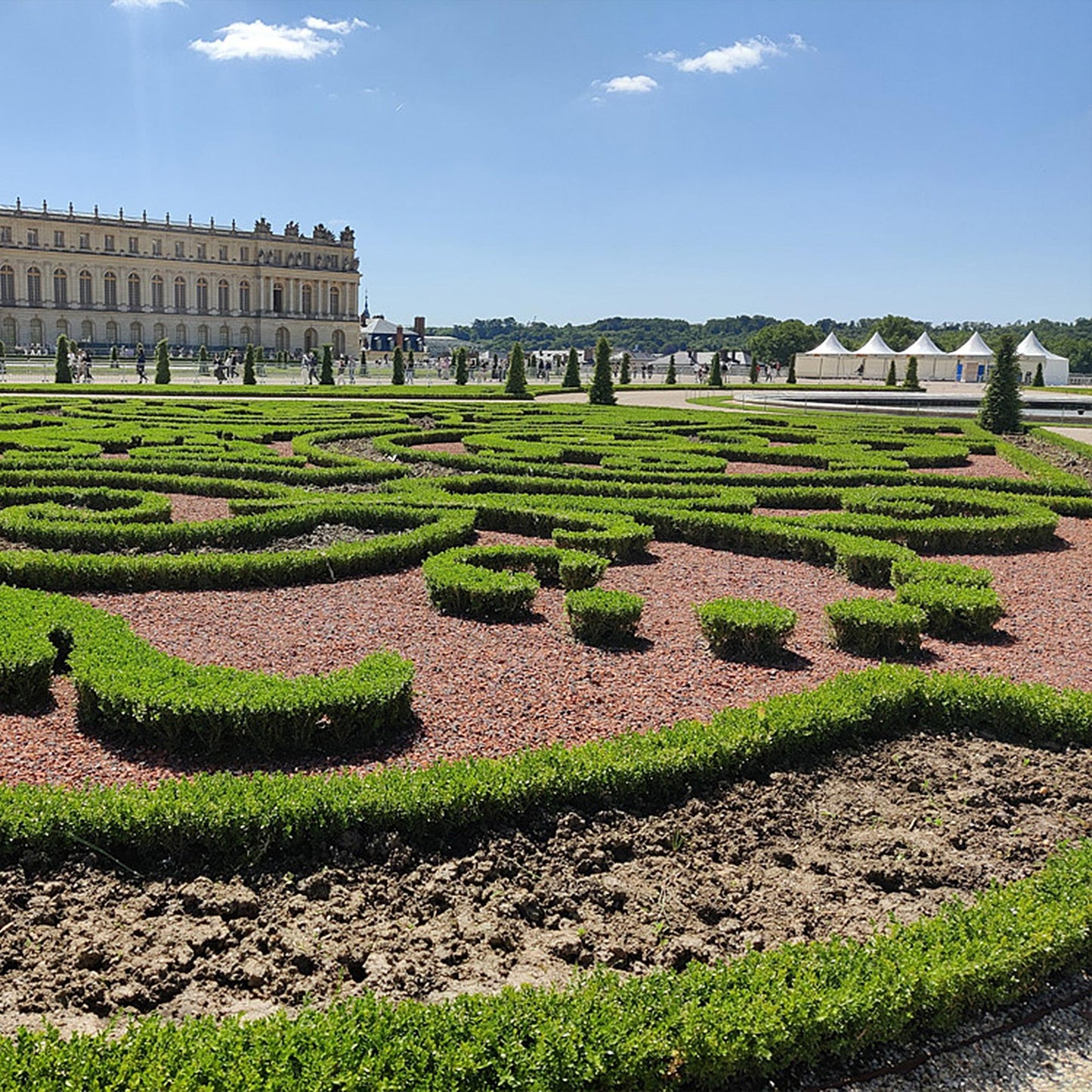 Buxus Boule BetterBuxus Skylight : Haies de buis taillées en formes complexes dans un jardin de château, avec un bâtiment imposant en arrièr