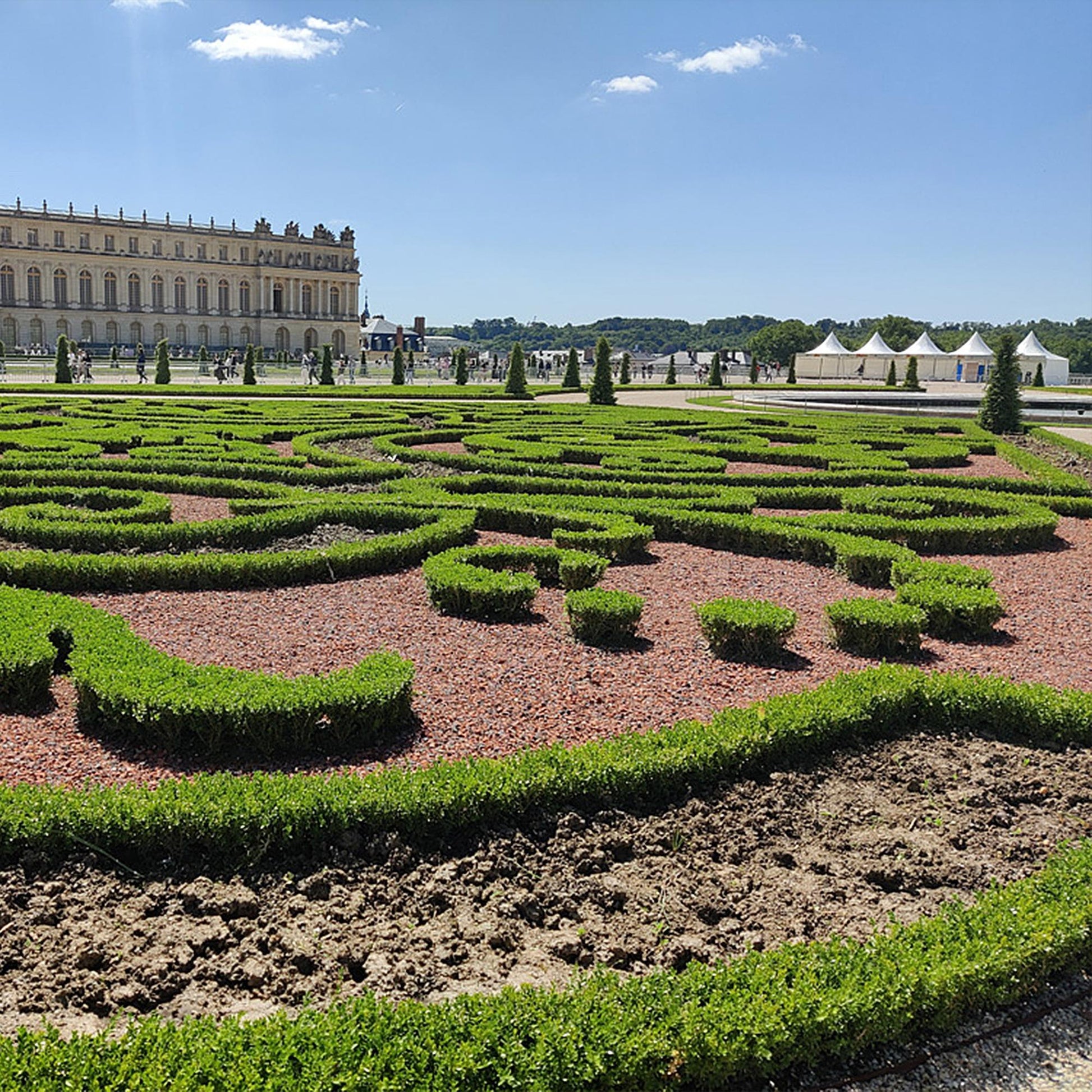 Buxus Boule BetterBuxus Skylight : Haies de buis taillées en formes complexes dans un jardin de château, avec un bâtiment imposant en arrièr