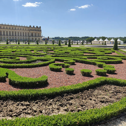 Buxus Boule BetterBuxus Skylight : Haies de buis taillées en formes complexes dans un jardin de château, avec un bâtiment imposant en arrièr